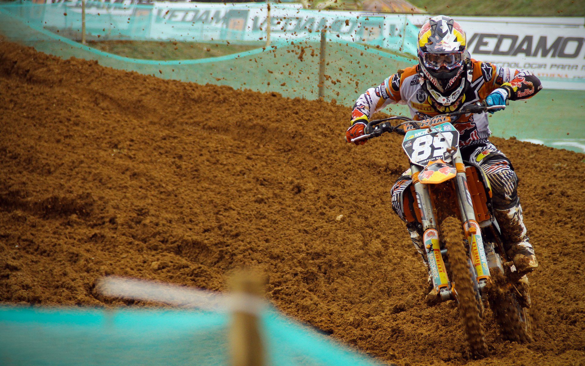 波兰在对保加利亚比赛中取得胜利，走向晋级之路，波兰对加拿大